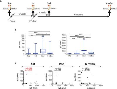 Effectiveness and Durability of mRNA Vaccine-Induced SARS-CoV-2-Specific Humoral and Cellular Immunity in Severe Asthma Patients on Biological Therapy